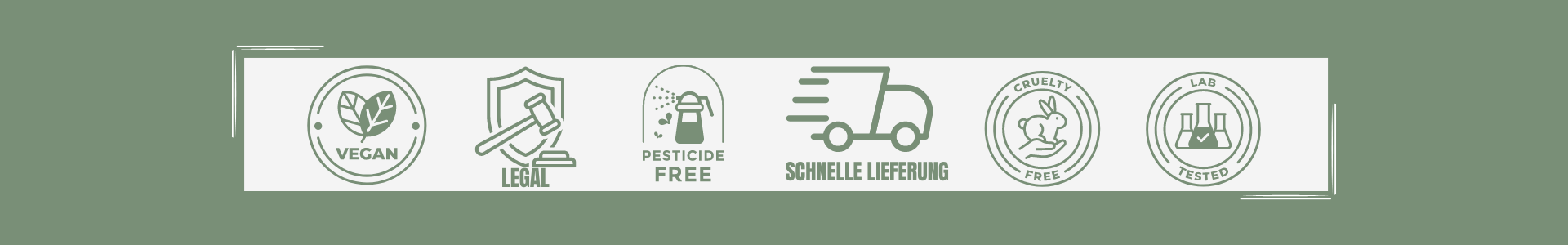 cbd-laden-beste-preis-leistung-premium-qualitaet-biologische-reinheit