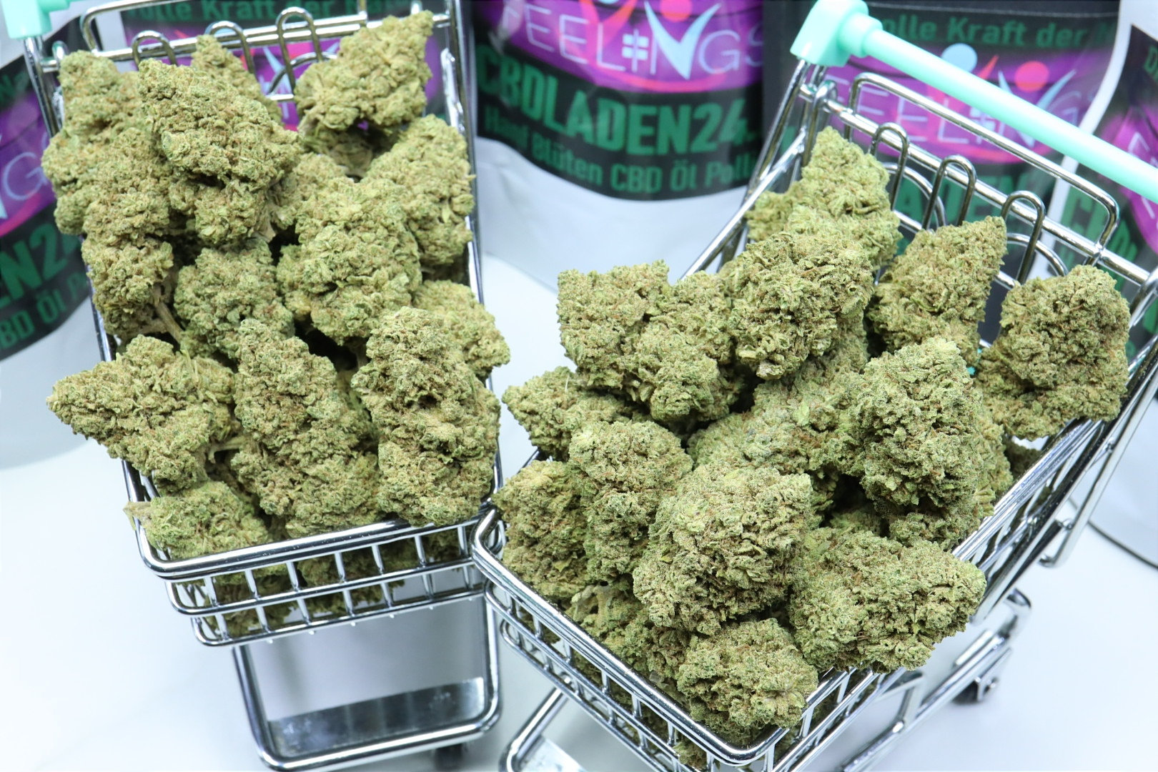 AMNESIA CBD Blüten