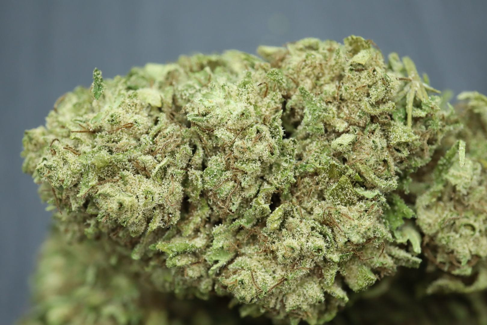  CBG Blüten Lavanda Kush