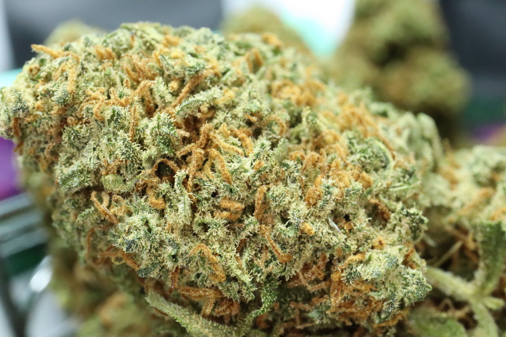 UK Cheese CBD Blüten 