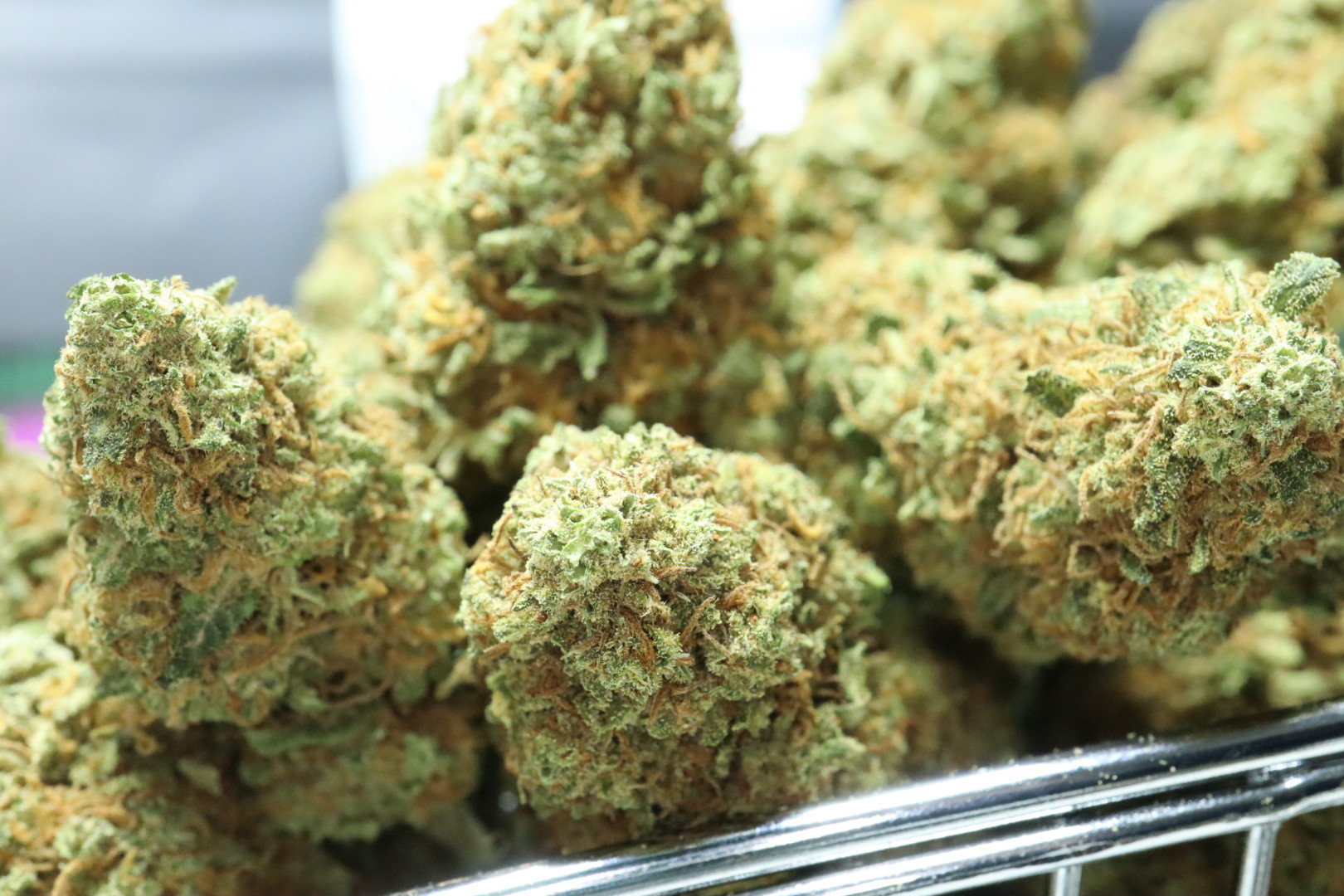 UK Cheese CBD Blüten 