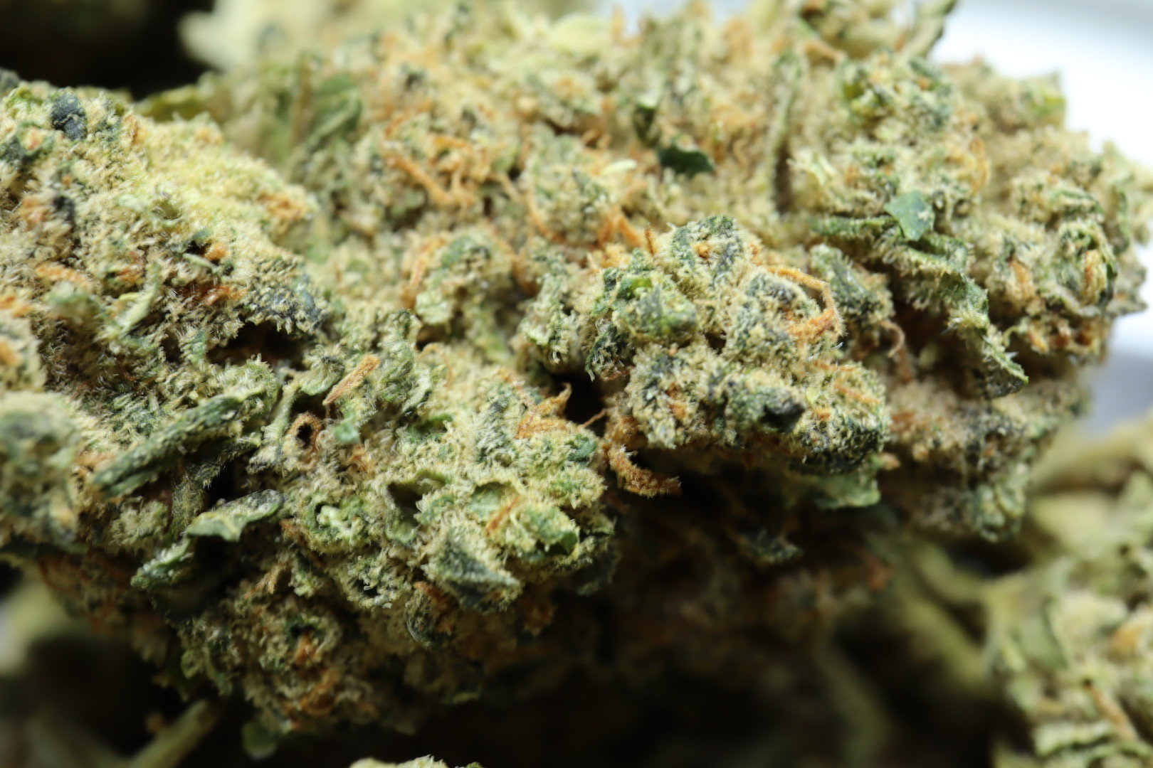 Sour Diesel CBD Blüten 