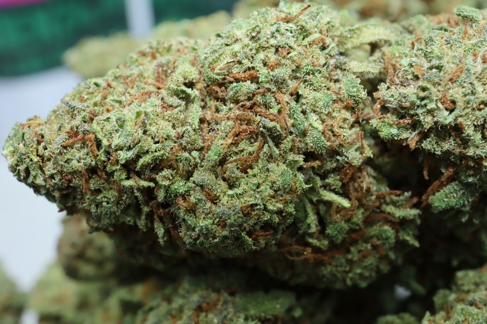 Strawberry Widow CBD Blüten 