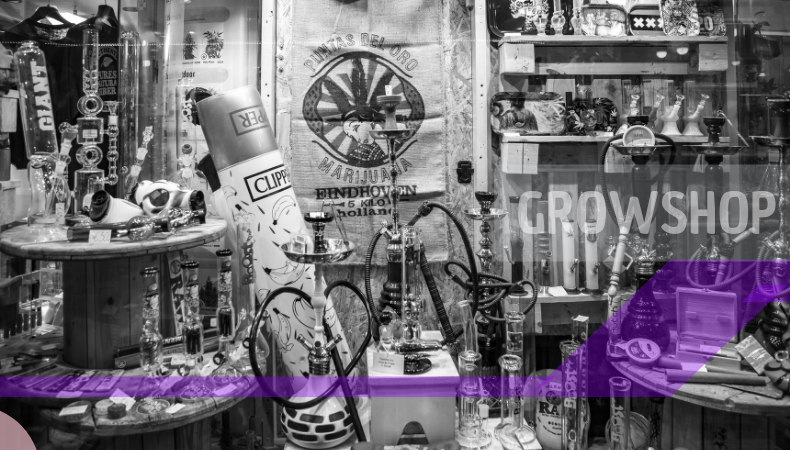 CBD LADEN PREMIUM GROWSHOP KATEGORIE cbd-laden-growshop-aus-deutschland-kategorie