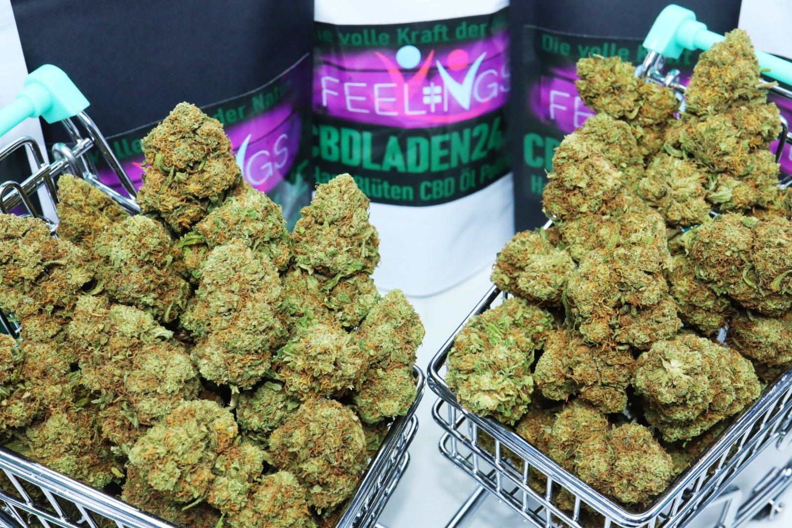 Blueberry Kush CBD Blüten 