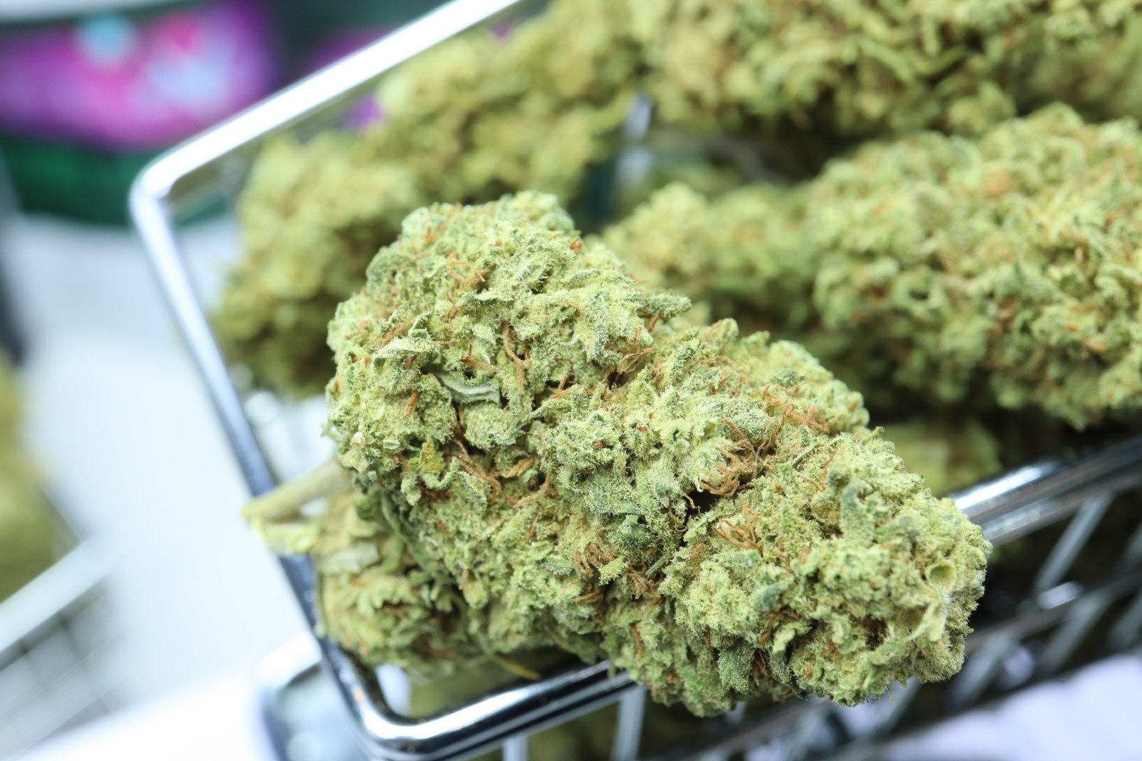 Master Kush CBD Blüten 
