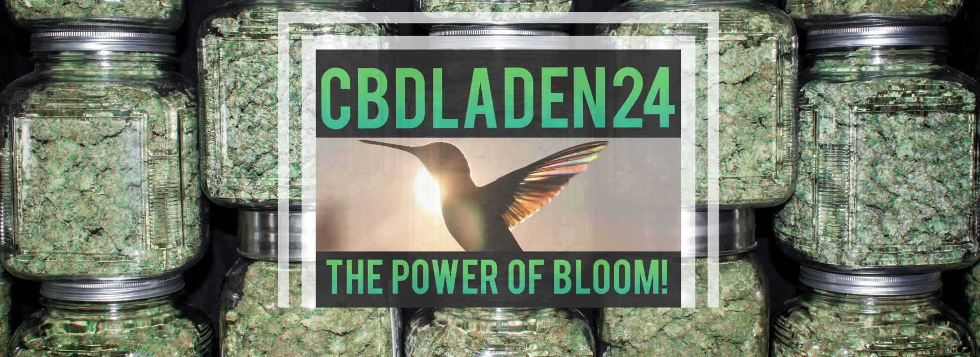 cbd-laden-premium-cbd-produkte-aus-deutschland