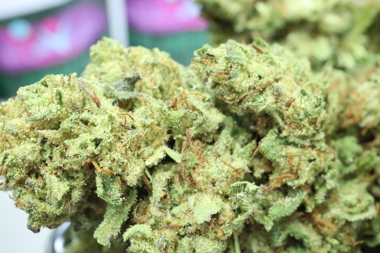 Watermelon CBD Blüten