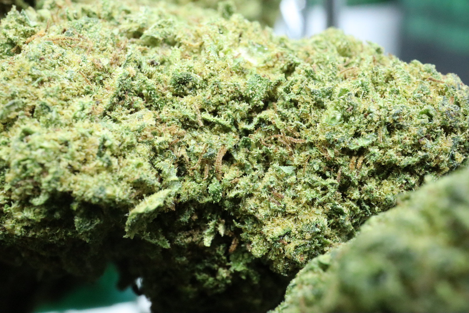 Fruit Cake CBD Blüten 