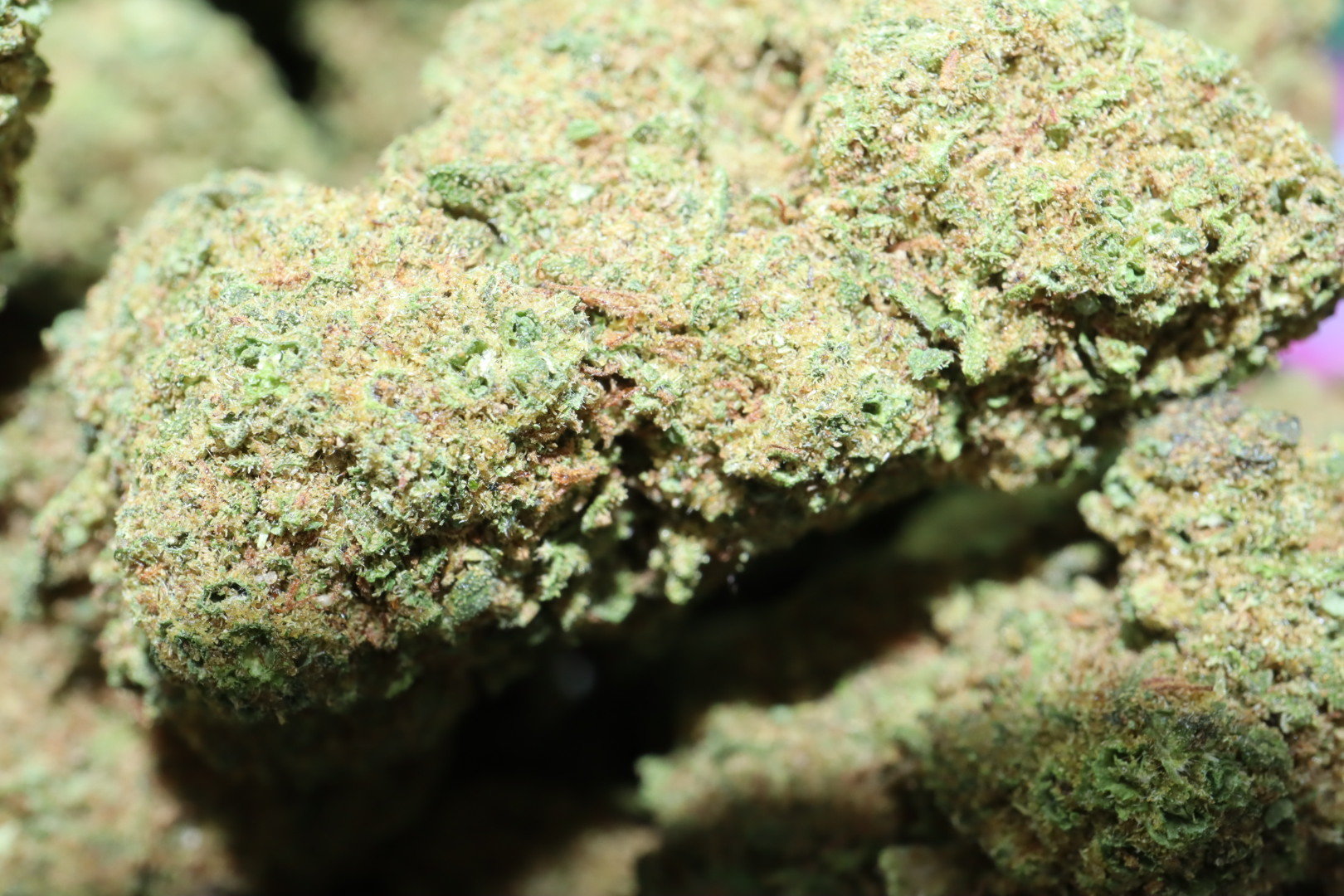 Mandarine Oriental CBD Blüten 
